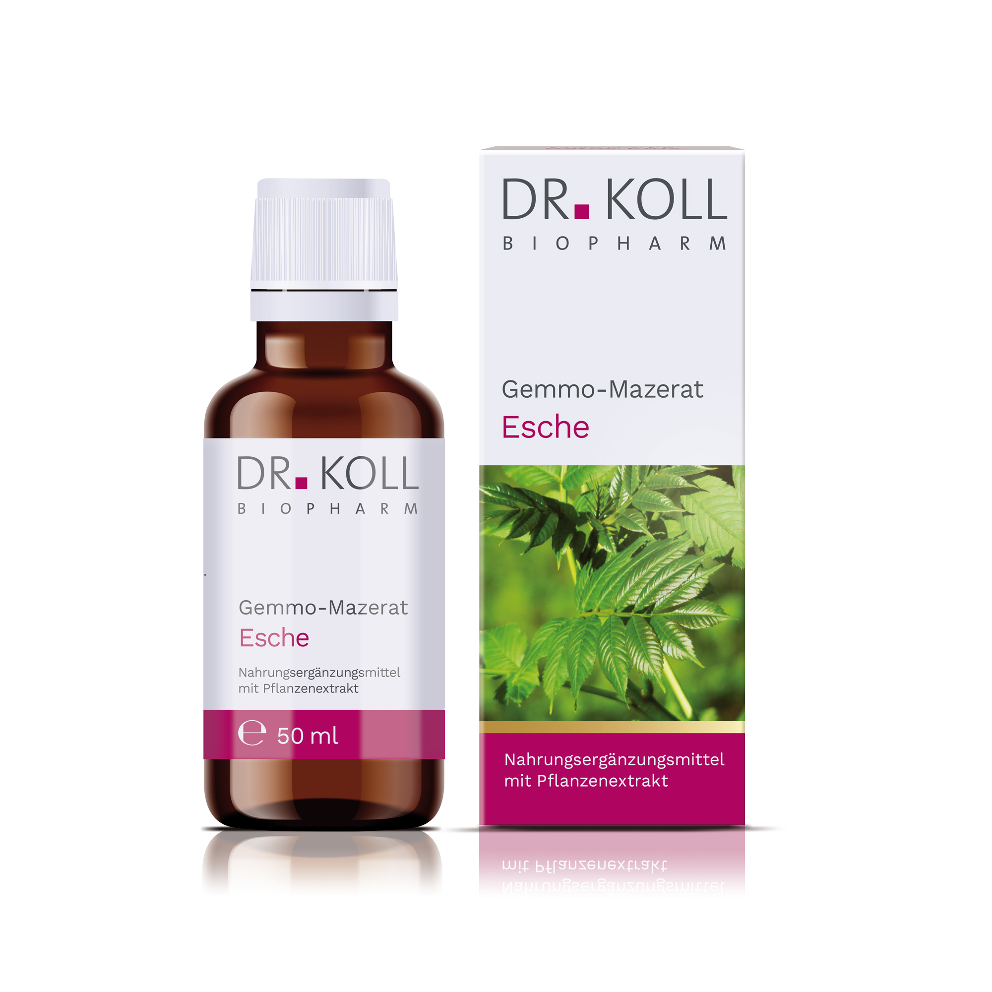Gemmo-Mazerat Esche Dr. Koll