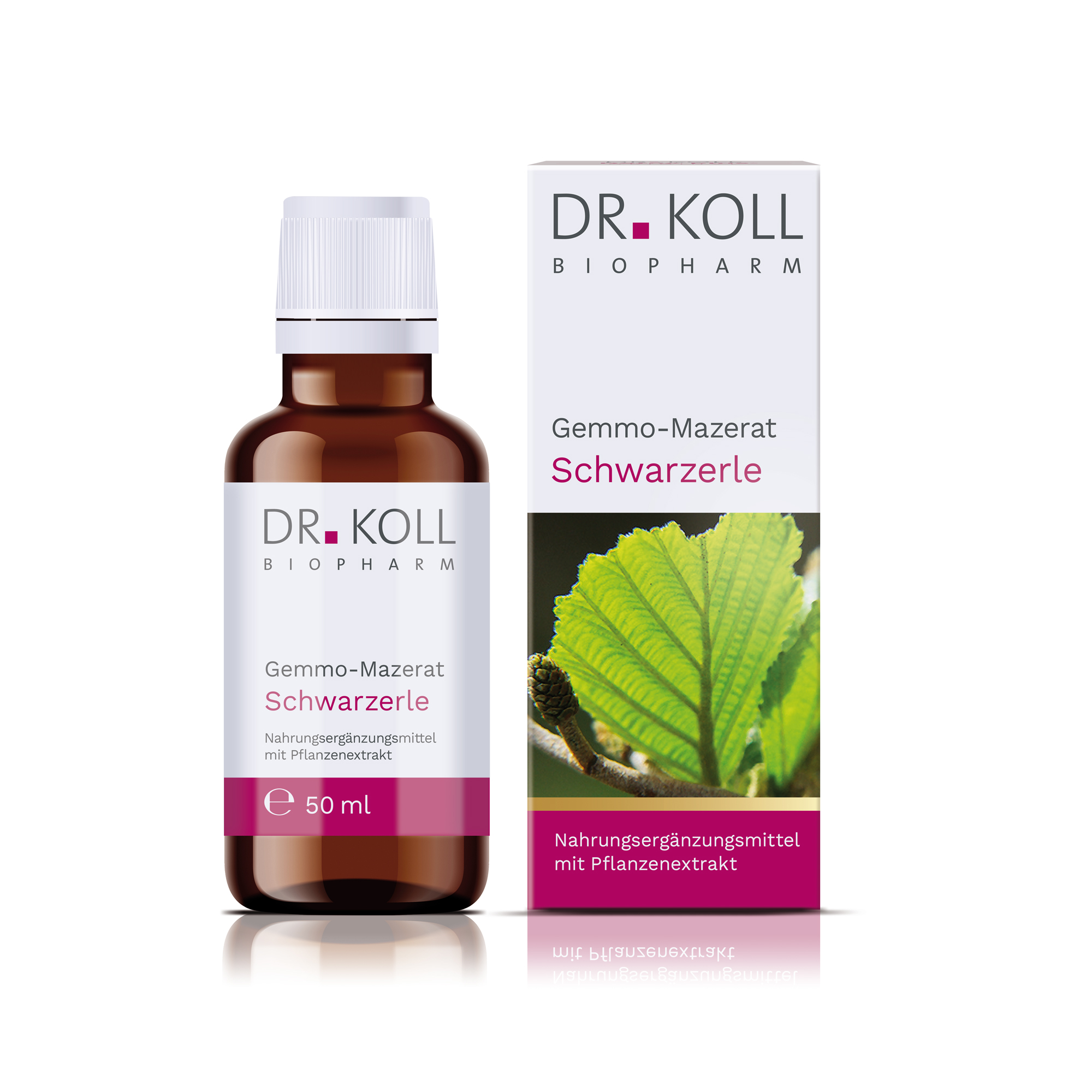 Gemmo-Mazerat Schwarzerle Dr. Koll