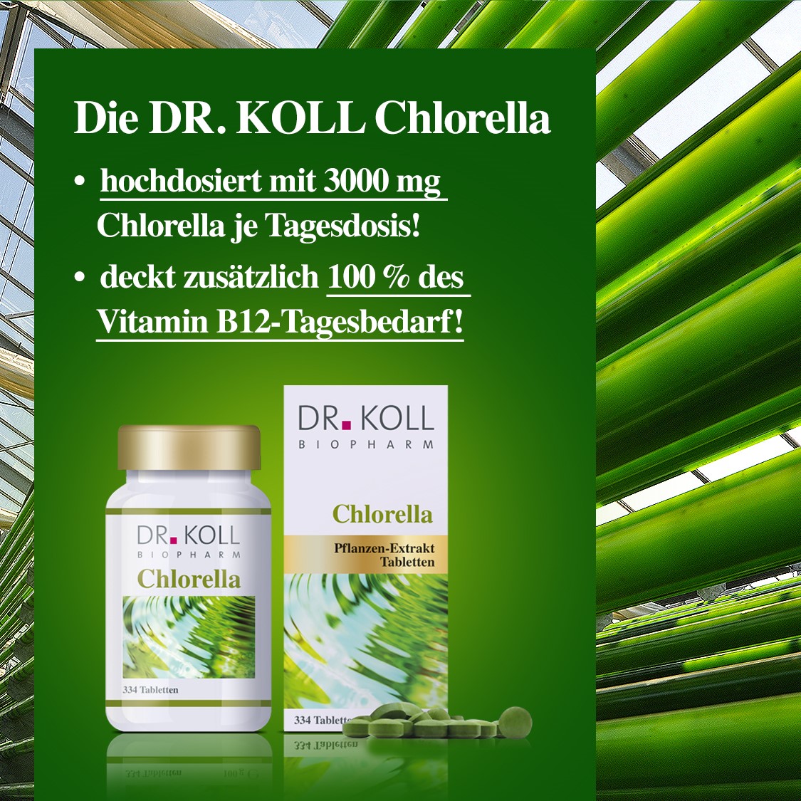 Chlorella - Dr. Koll